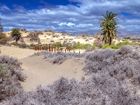 Dunes de Maspalomas